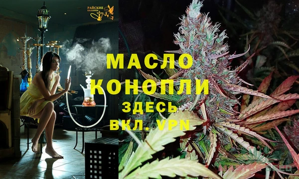 СК Медногорск