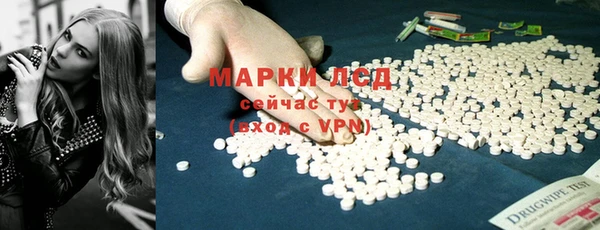 СК Медногорск